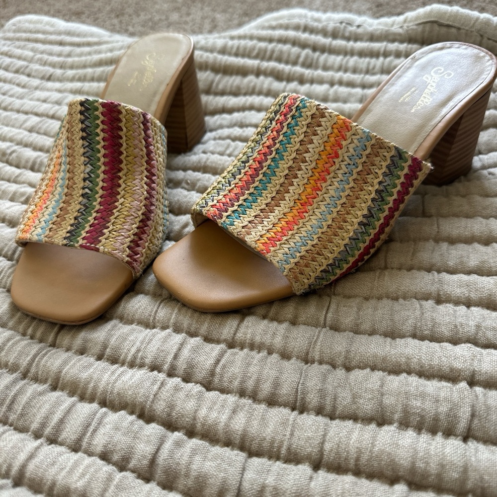 Seychelles Multicolor Woven Mules